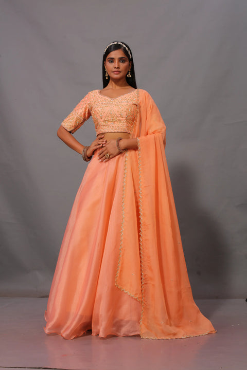 Organza lehenga