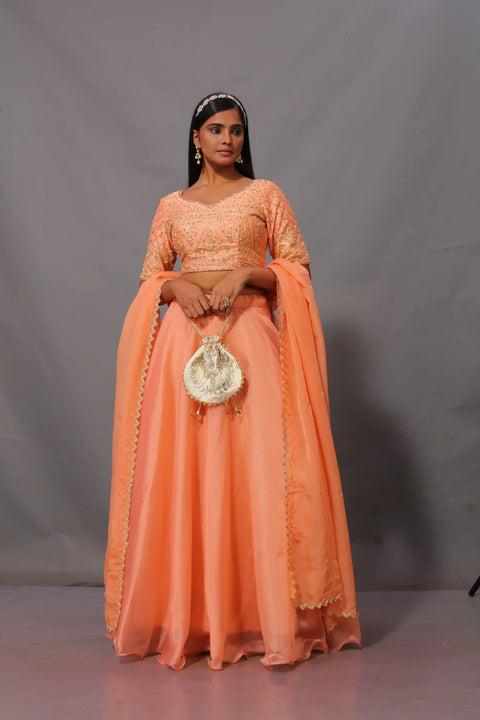 Organza lehenga